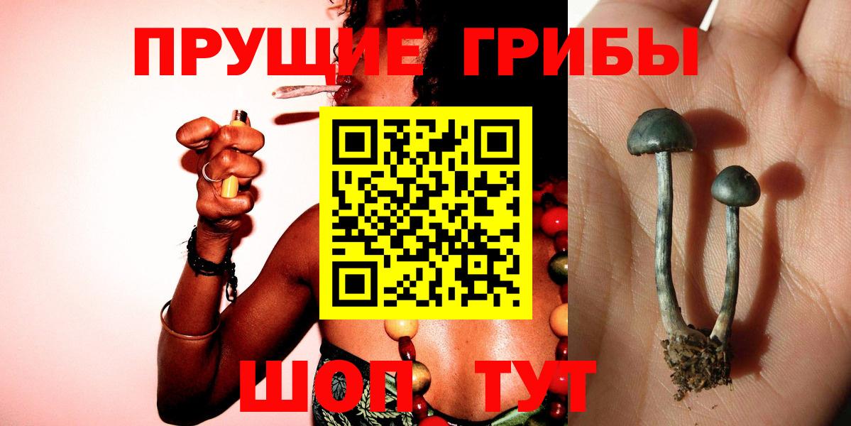 Семилуки  Галлюциногенные грибы Cubensis  хочу   Вход с VPN 